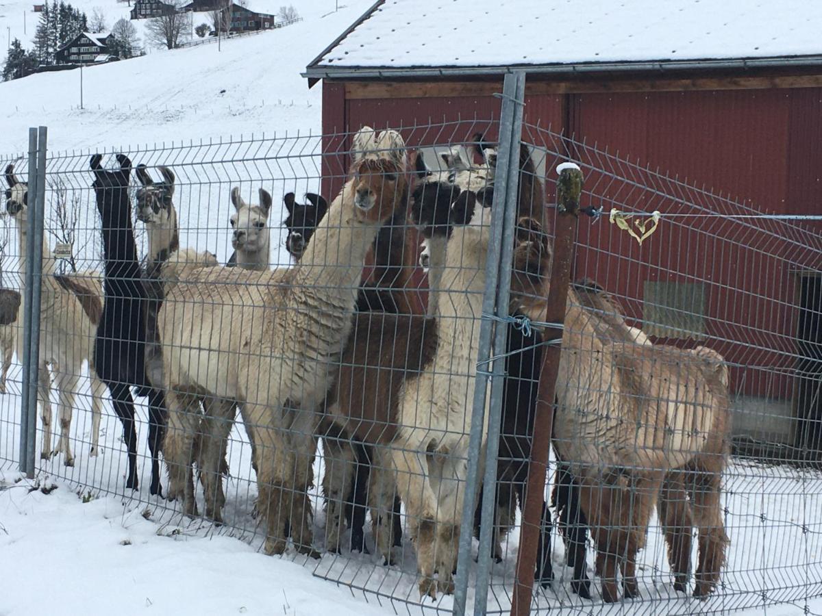 Ferienwohnung Haus Am Bach In Toggenburg Wildhaus Zewnętrze zdjęcie