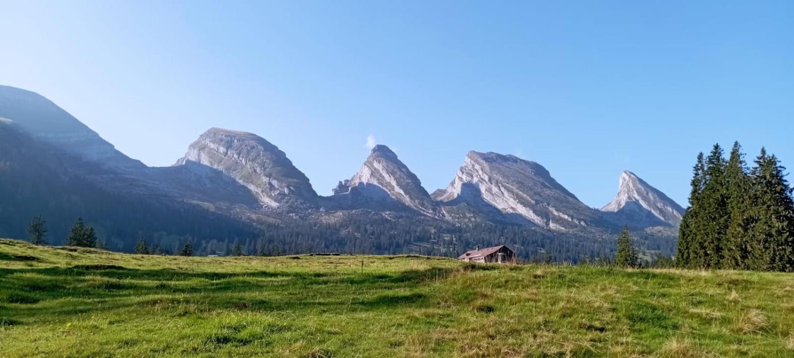 Ferienwohnung Haus Am Bach In Toggenburg Wildhaus Zewnętrze zdjęcie